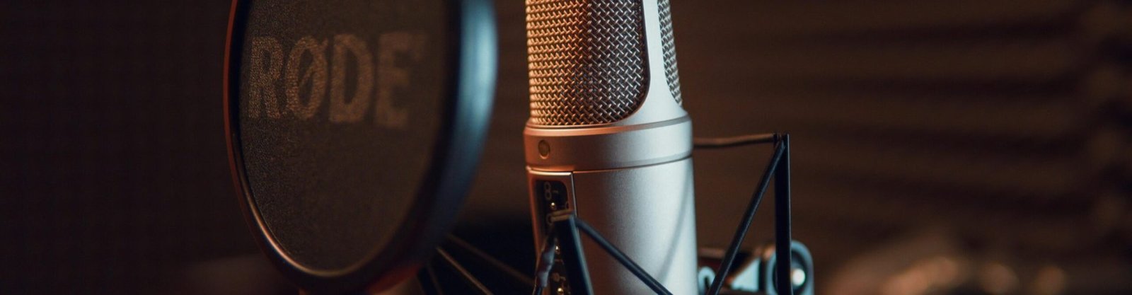 Silver Dynamic Microphone on Black Microphone Stand